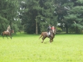 campiglione-655579