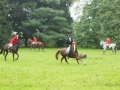 campiglione-655582