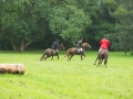 campiglione-655625