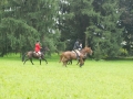 campiglione-655629