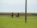 gariglietto-651012